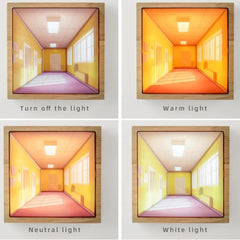 5D Lumination Hallway